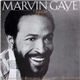 Marvin Gaye - Motown Superstar Series, Volume 15